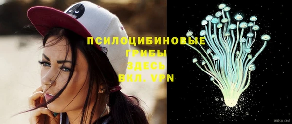 спайс Новозыбков