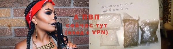 гашик Новокубанск
