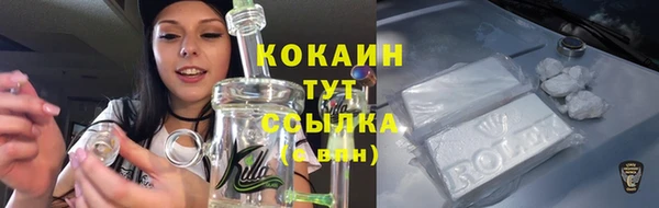 амф Новодвинск