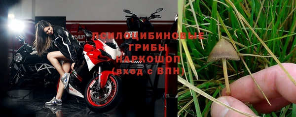 гашик Новокубанск