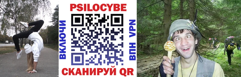 купить цена Урень Галлюциногенные грибы GOLDEN TEACHER